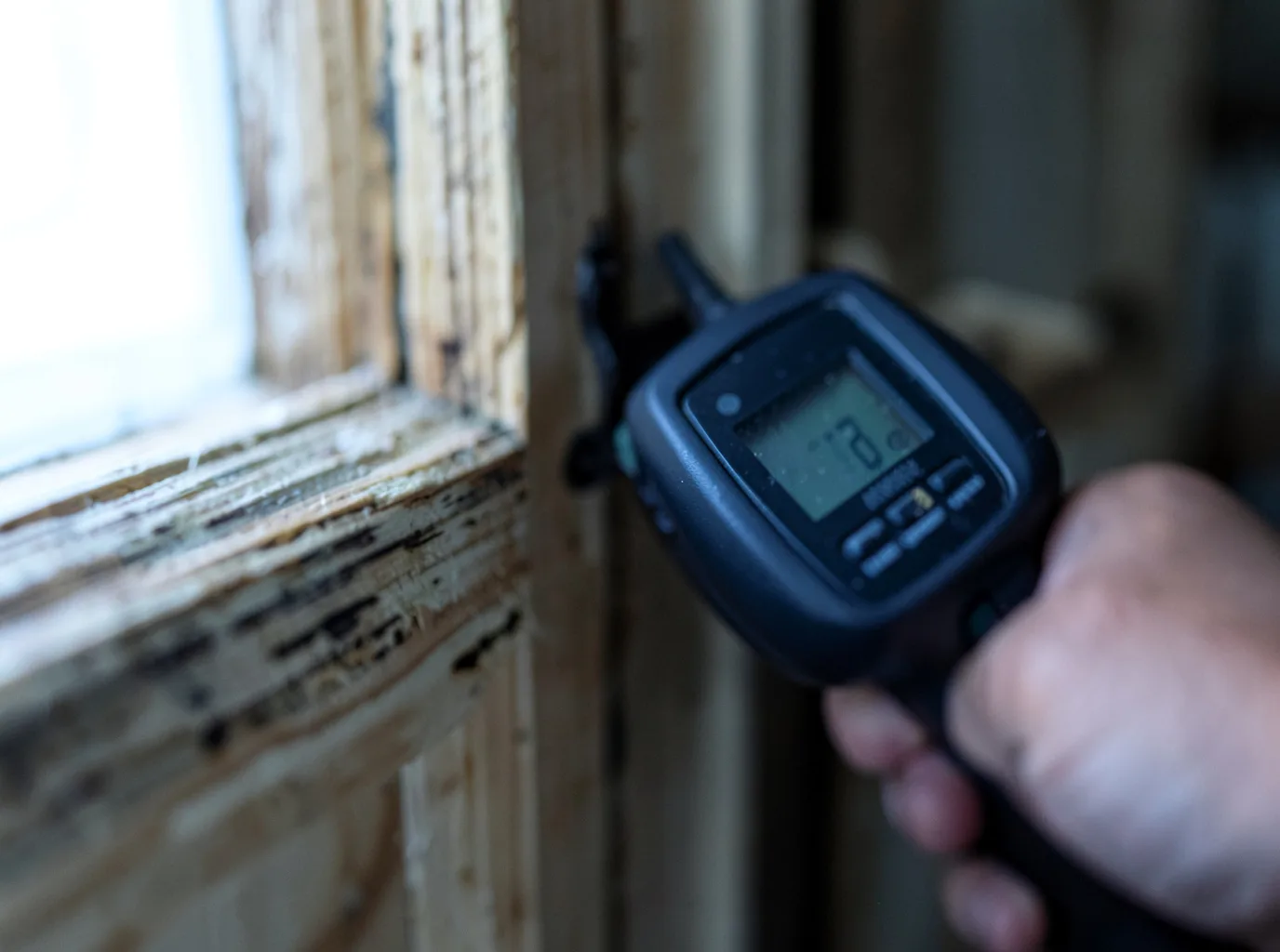Moisture Inspection And Documentation in Forest, LA